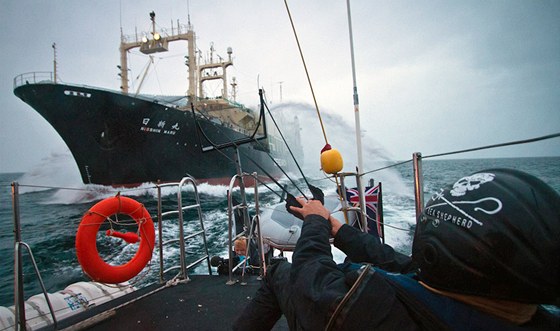 Aktivisté ze Sea Sheperd Conservation Society blokují japonskou velrybáskou lo (9. února 2011)