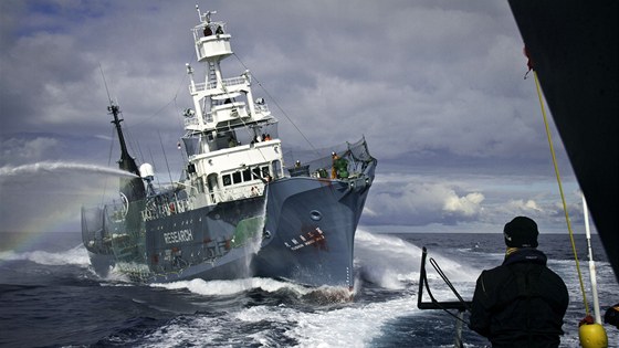 Aktivisté ze Sea Shepherd Conservation Society blokují japonskou velrybáskou lo (9. února 2011).