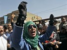 Protesty v Jemenu (13. února 2011)