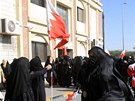 Protesty v Bahrajnu (14. února 2011)