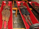 Unikátní mumie se poprvé v historii sthovaly z katakomb na klatovském námstí do nedaleké jezuitské koleje.