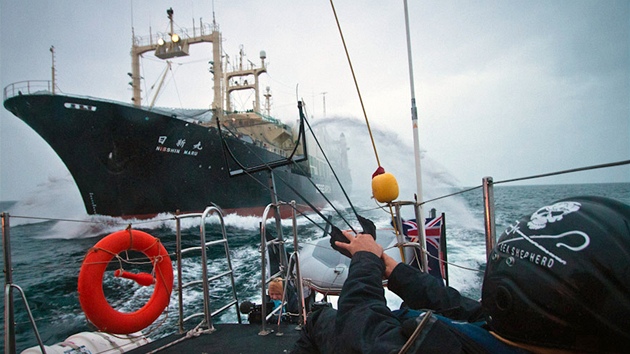 Japonská lo zrovna ulovila velrybu. (7. února 2008)