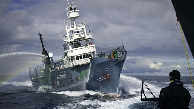 Aktivisté ze Sea Sheperd Conservation Society blokují japonskou velrybáskou lo (9. února 2011)