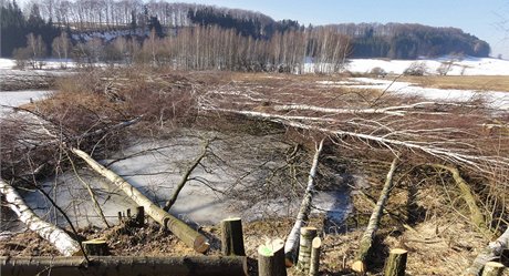 V CHKO Broumovsko ádil neznámý vandal, pokácel 384 strom.