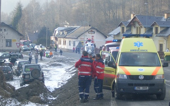 Pi nehod na Prostjovsku narazilo auto do stromu, idi i pes hodinovou snahu léká záchranné sluby o resuscitaci svým zranním na míst podlehl. Ilustraní snímek.