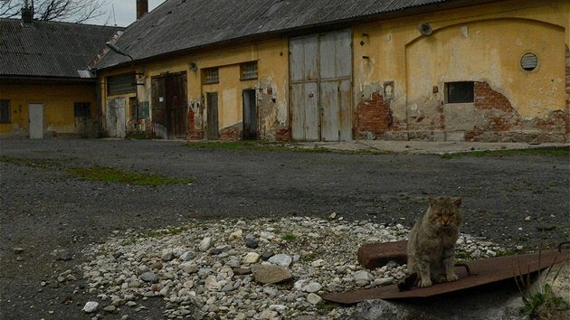 Bývalé skladi�t� pesticid� a dal�ích nebezpe�ných látek v Lubech u Klatov