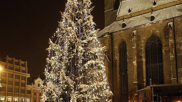 Vánoní strom na námstí Republiky v Plzni