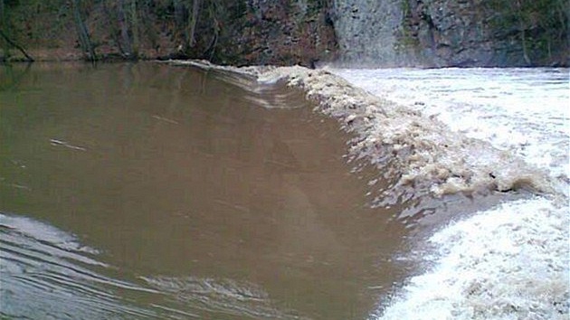 Splav v Podhradí nad Dyjí, 1. b�ezen 2009