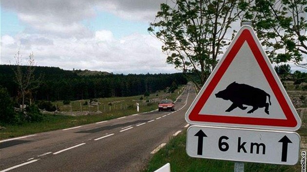 Divo�ák na silnici