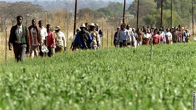 P�íznivci zimbabwské vládní strany ZANU krá�ejí po poli bílého farmá�e.