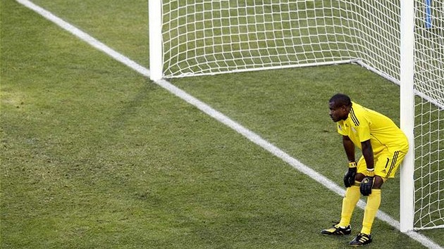 Zklamaný nigerijský branká� Vincent Enyeama po vyrovnávacím gólu �eka Dimitrise Salpingidise. (17. �ervna 2010)