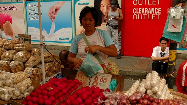 Jednu z nejmen�ích opi�ek na sv�t� - Nártouna filipínského - potkáte jen na Filipínách