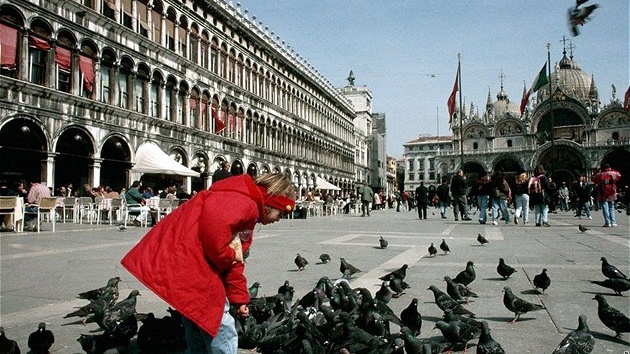 Krmení holub je v mnoha italských mstech zakázáno