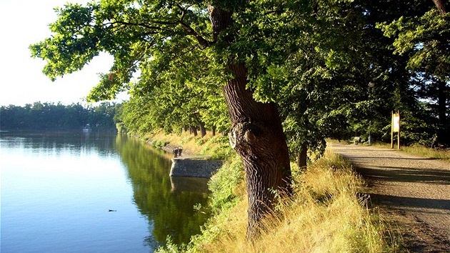 Jiní echy na kole