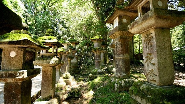 Japonsko, Nara, tisíce luceren u šintoistické svatyně Kasuga