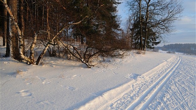 Na kraji lesa pod Javorovou skálou