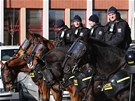 Policie dohlíí na zápas Baníku Ostrava se Sigmou Olomouc