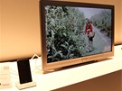 LCD LED televize do lonice se bude prodávat s dokovací kolébkou pro iPody a iPhony
