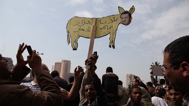 Mubarak se bhem protest dokal mnoho oklivých pízvisek - zde si ho Egypané vynesli do ulic jako osla