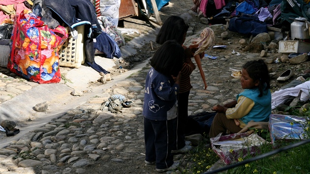 Holiky si hrají se zbytky svých hraek  (28. února 2011)