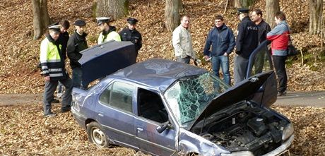 Nehoda osobního auta na cyklostezce na Orlickoústecku stála spolujezdce ivot (13.3. 2011)