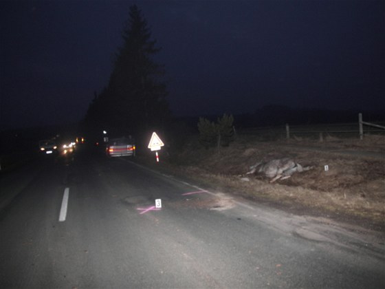 U Makotas se auto srazilo s konm, ten nehodu nepeil (ilustraní snímek)