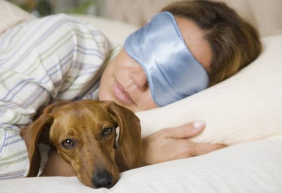 Pes do postele nepatří, ale kdo by nepustil svého mazlíčka do teplých peřin. Riskujete ale blechy, klíšťata i ekzémy.