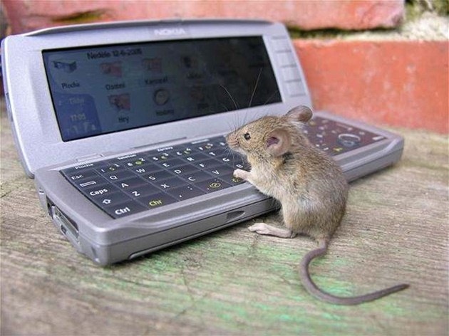 První počítačová myš měla rozšířit možnosti lidského mozku - iDNES.cz