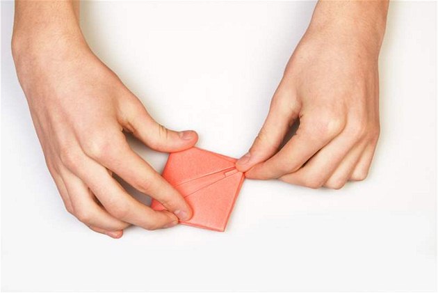 Vyzkoušejte origami, fascinující umění skládat papír - iDNES.cz