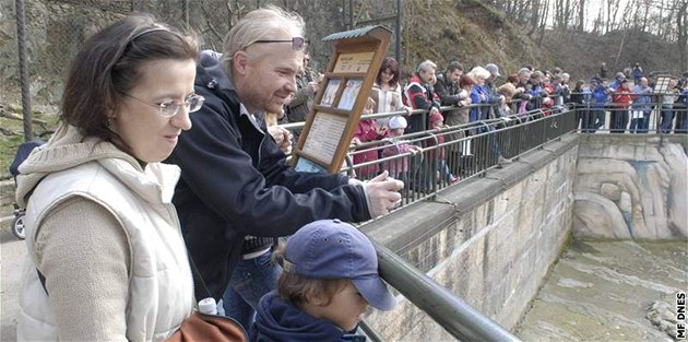 Medvíata pitáhla o víkendu do zoo plno lidí