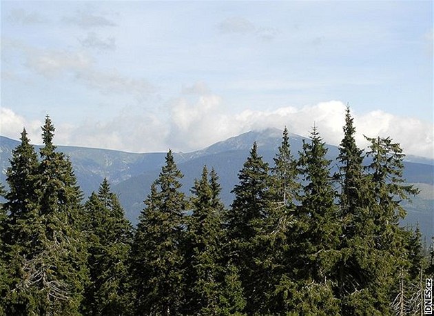 Pohled ze západního úboí erné hory smrem na západ. Vpravo Kotel, vlevo od nj Lysá hora. Drobná pika na obzoru smrem od stedu doleva je Jetd.