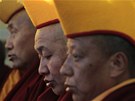 Oslavy tibetského nového roku v indické Dharmasale (7. bezna 2011)