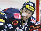 RÁM. Liberecký útoník Petr Nedvd schytal  dalí zásah od Jiího Doleala, který mu hokejkou rozsekl tvá. 