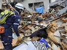 Záchraná hledá poheované v troskách dom v japonském mst Mijadi.  (16. bezna 2011)