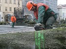 Kácení posledních strom na Velkém námstí v Hradci Králové