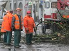 Kácení posledních stromů na Velkém náměstí v Hradci Králové