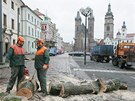 Kácení posledních strom na Velkém námstí v Hradci Králové