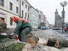Kácení posledních stromů na Velkém náměstí v Hradci Králové