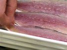 Oitné filety z makrely poskládejte do zapékací misky. 