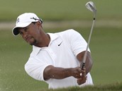 Tiger Woods