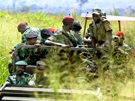 Povstalci z Hnut za osvobozen Konga (MLC), kter pod vedenm bvalho prezidenta Jean Pierra Bemby v roce 2002 zabjely a znsilovaly