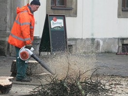 Kcen poslednch strom na Velkm nmst v Hradci Krlov