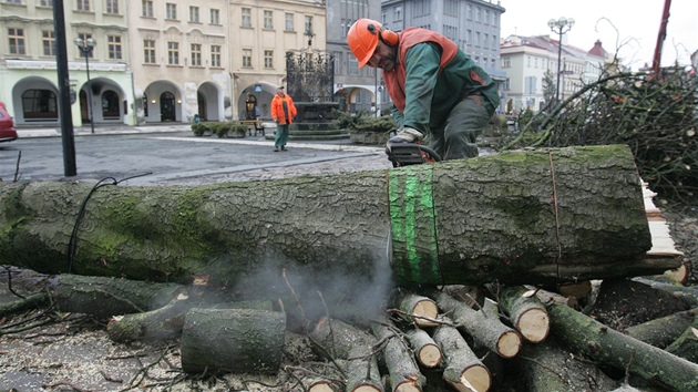 Kácení posledních strom na Velkém námstí v Hradci Králové