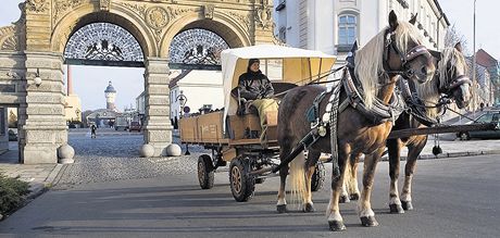 Jana sová v renovovaném povozu taeném kobylkami Barnou a Bajkou (snímek ze zimy roku 2011).