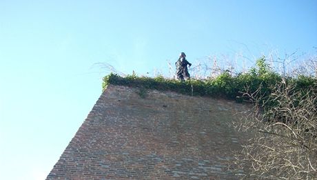 Strnci v Brn zachraovali fenku terira, kter se na pilberku ztila ze svahu a uvzla na hradebn zdi.