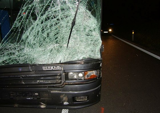 Na Hodonínsku srazil autobus jelena, zvíe na míst zemelo, pokozené vozidlo museli odtáhnout.