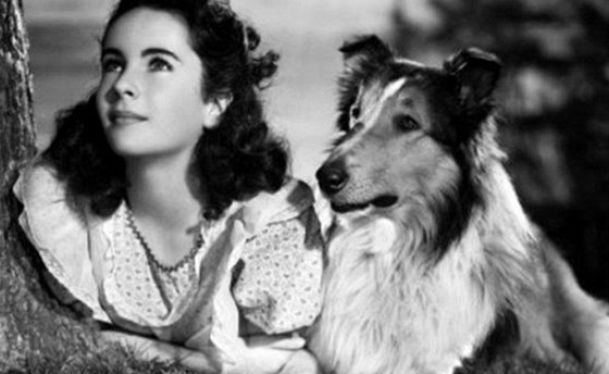 Elizabeth Taylorov ve filmu Lassie se vrac (1943)