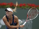 FAVORITKA. Dánka Caroline Wozniacká bojuje ve finále turnaje v Indian Wells s Francouzkou Bartoliovou.