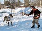 Pokud chceme na fotku soba, potebujeme laso.