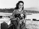 Elizabeth Taylorová ve filmu O Velkou cenu (1944)